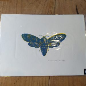 Sphinx tête de lune - Eva Bourdier